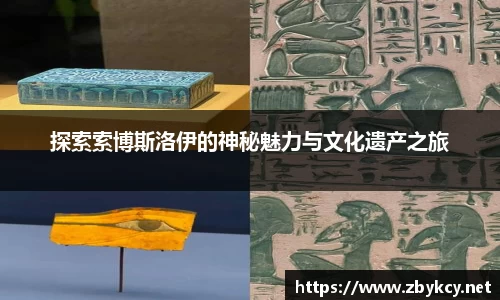 星空·综合体育中国官方网站